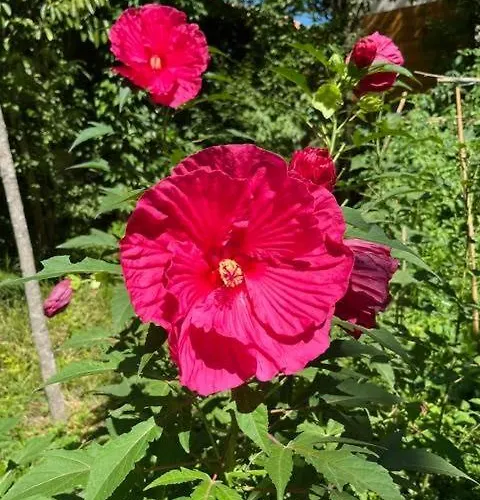 Le Clos Des Queyries, D'hotes Burdeos