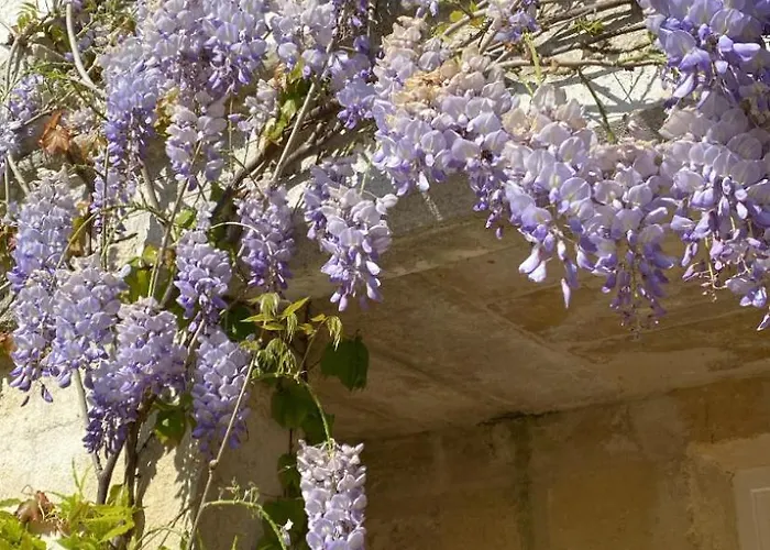 Le Clos Des Queyries, D'hôtes