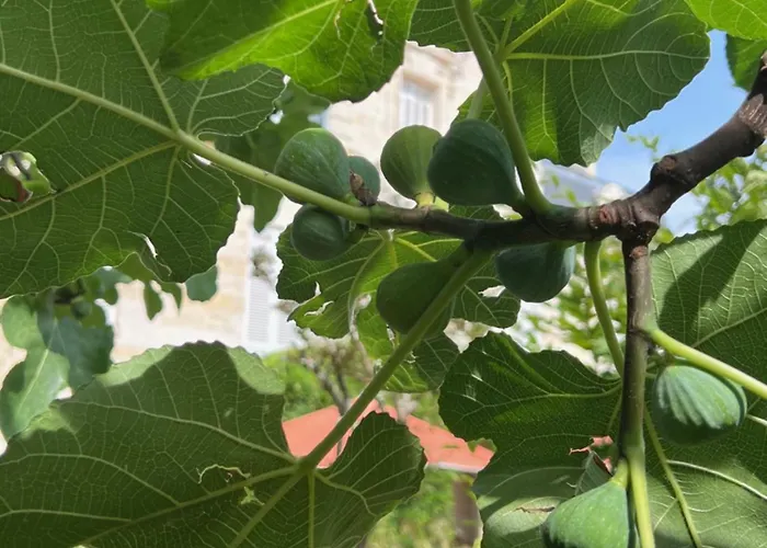 Bed and breakfast Le Clos Des Queyries, D'hotes 4*