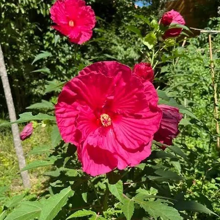 Le Clos Des Queyries, D'hotes Bordeaux