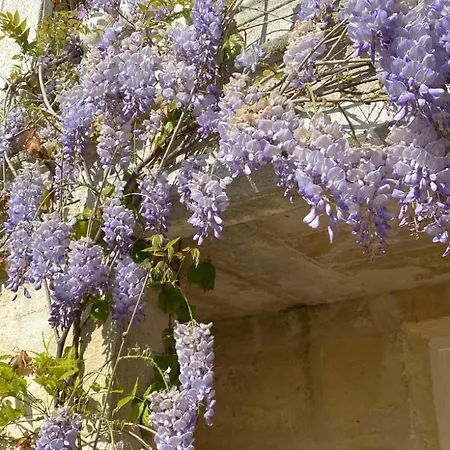 Le Clos Des Queyries, D'hotes