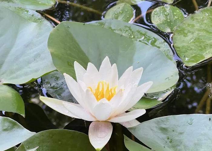 Le Clos Des Queyries, D'hotes 4*